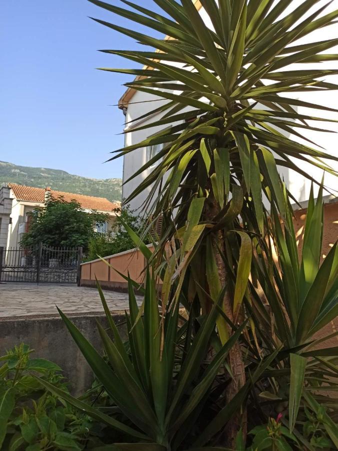 בודווה Apartments Parapid מראה חיצוני תמונה
