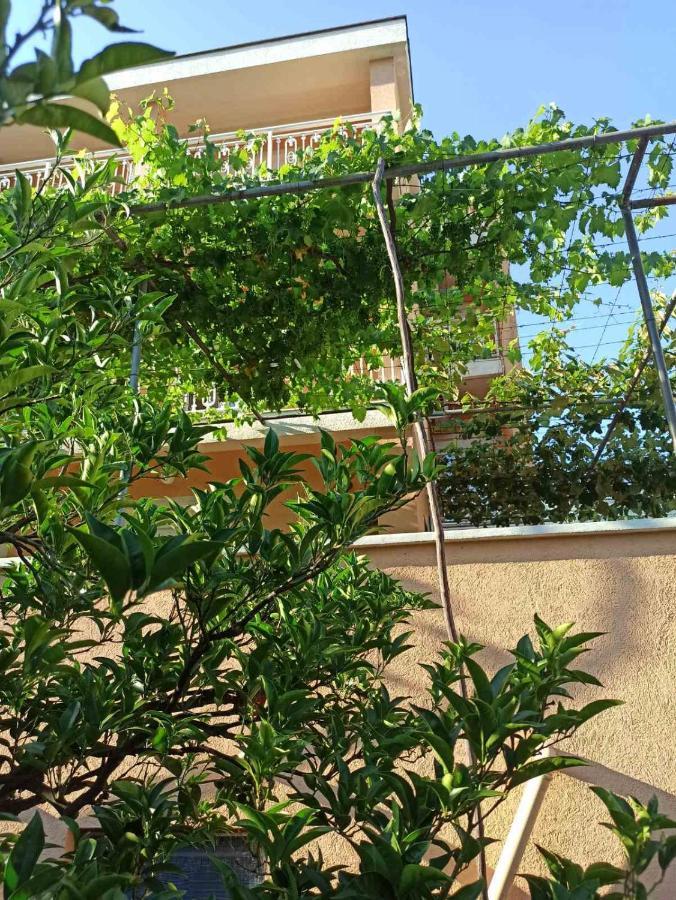 בודווה Apartments Parapid מראה חיצוני תמונה